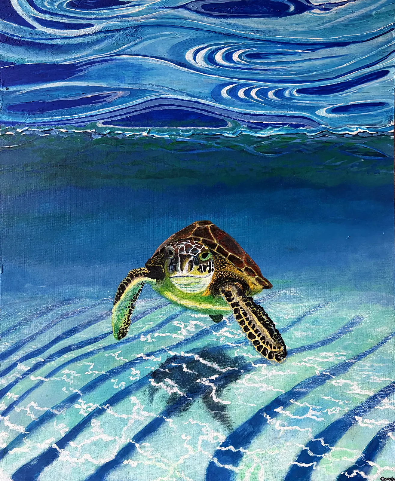 Painting by Colin Combe of a sea turtle swimming through clear turquoise water over rippled sand